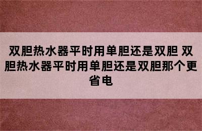 双胆热水器平时用单胆还是双胆 双胆热水器平时用单胆还是双胆那个更省电